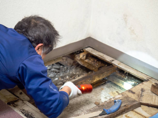 Crawl Space Mold Removal in Morgantown, IN