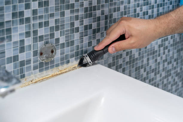 Best Mold Remediation  in Morgantown, IN