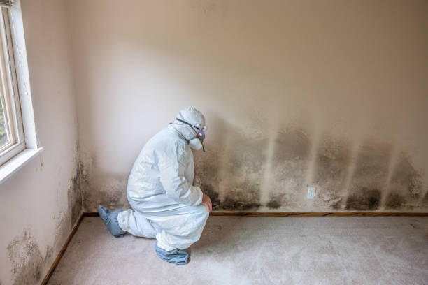 Best Mold Testing  in Morgantown, IN